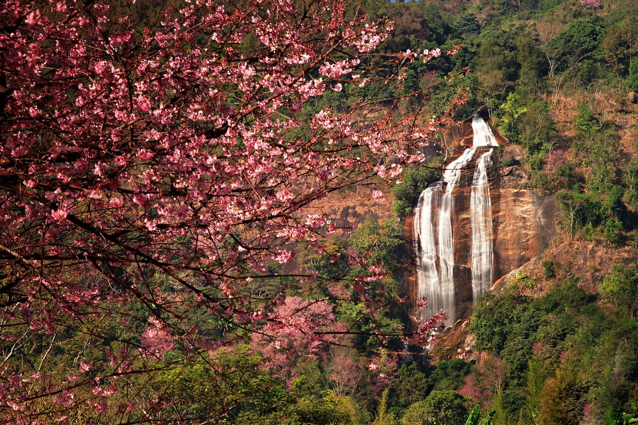 Chiang Mai Doi Inthanon Waterfalls & Mountain
